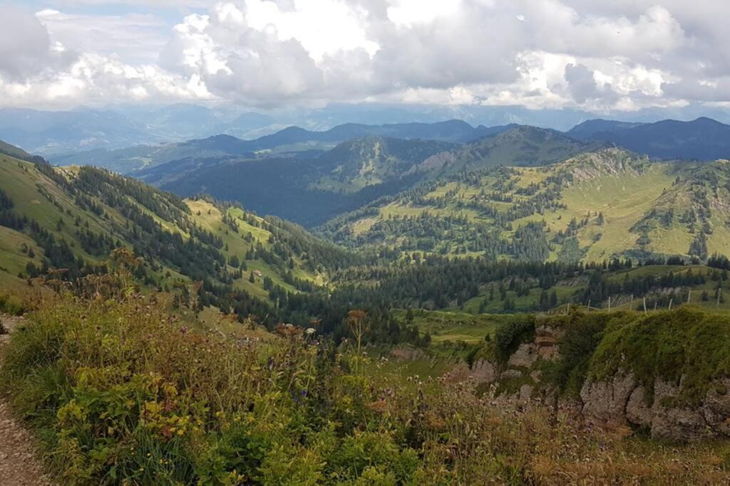 Fewo Allgaeuliebe Mit Wlan Oberstaufen Steibis ภายนอก รูปภาพ