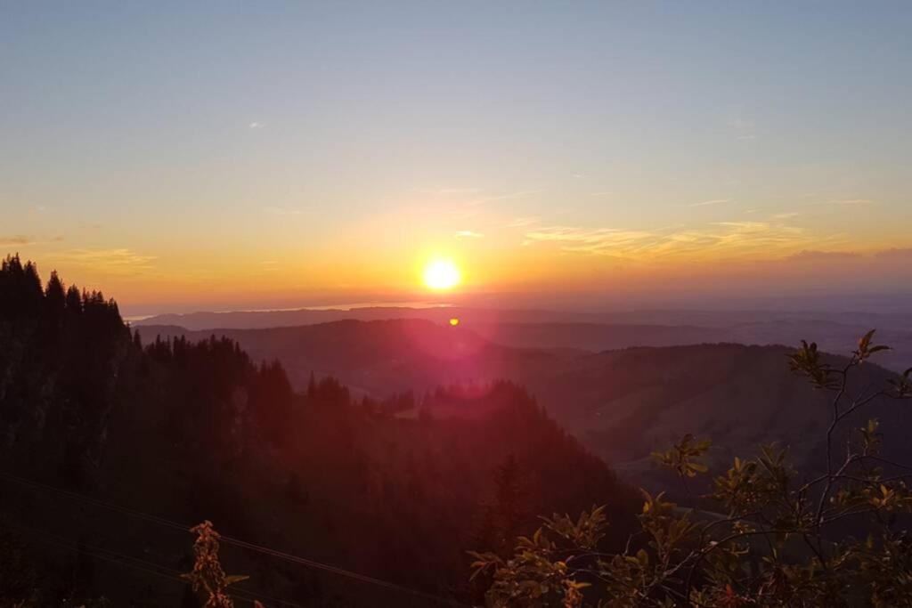 Fewo Allgaeuliebe Mit Wlan Oberstaufen Steibis ภายนอก รูปภาพ
